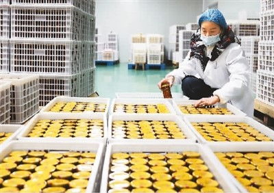 穩居第一，小小罐頭闖世界 農業科技研發鑄就餐桌全球化