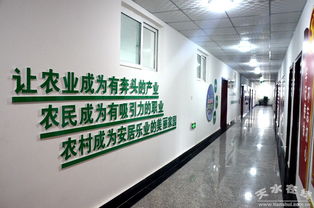 中國電子科技集團消費扶貧新舉措 采購清水農產品助力鄉村振興，科技研發賦能農業現代化